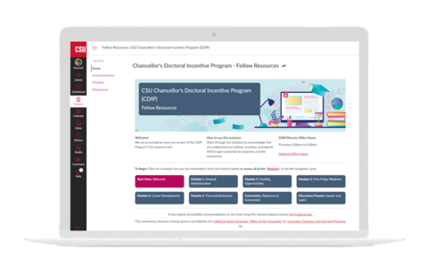 CDIP Fellows Canvas Course Homepage